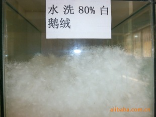 黄河沿岸鹅绒填充物95%白鹅绒物美行业领先制衣被子专利水洗80