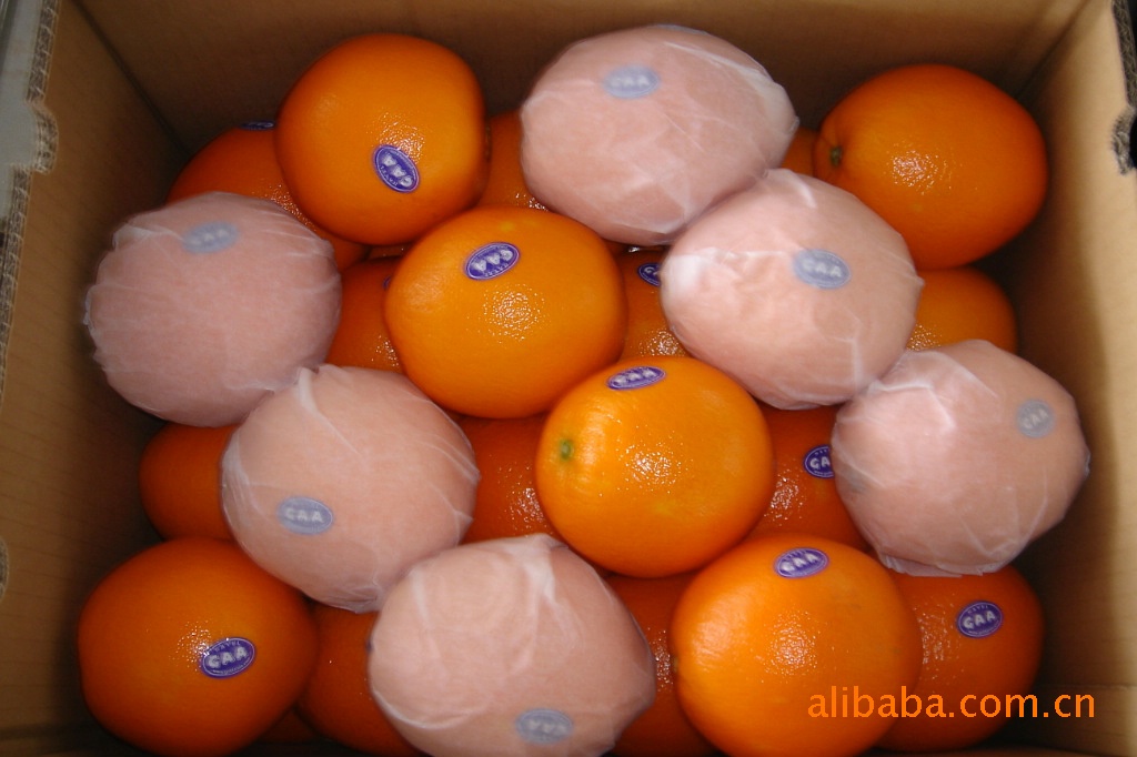 供应优质赣南脐橙 收购,贮藏,加工打蜡,分级包装