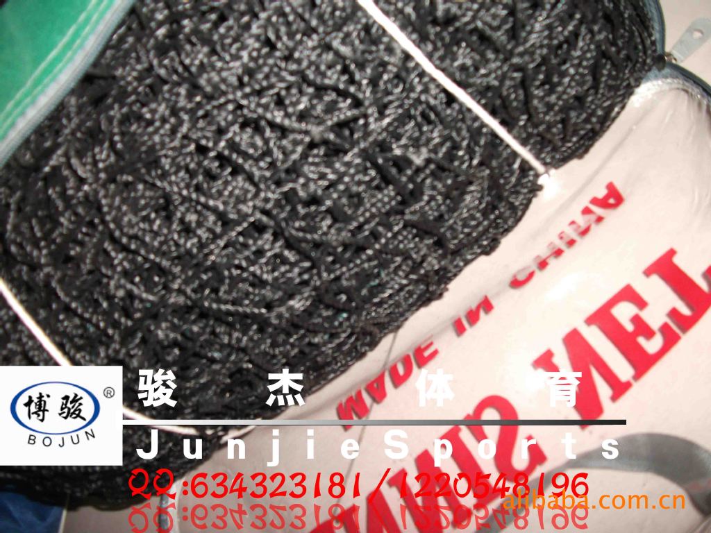 【乙烯网球网网球网v乙烯专用网体育器材厂销王蔷网球写真图片