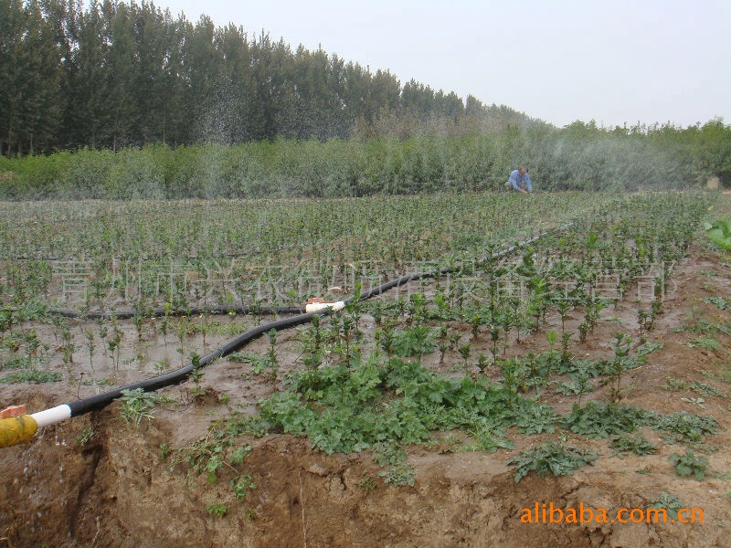 【农业技术信息新型节水灌溉--微喷带使用技术