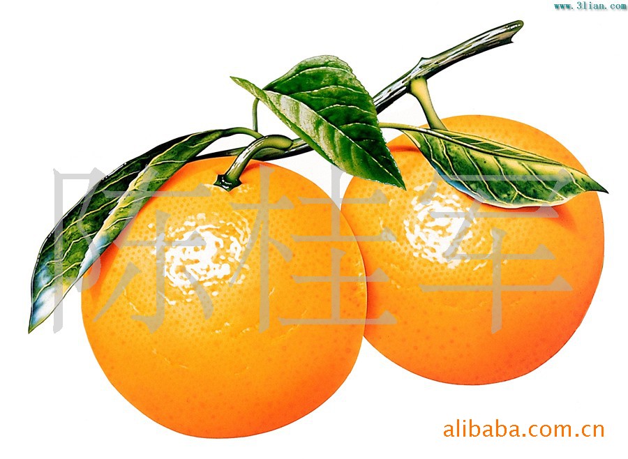 【湖南石门 柑橘 椪柑 橙子 柚】价格,厂家,图片