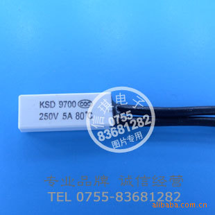  KSD9700 80¶ȿ  80  Զȱҡ