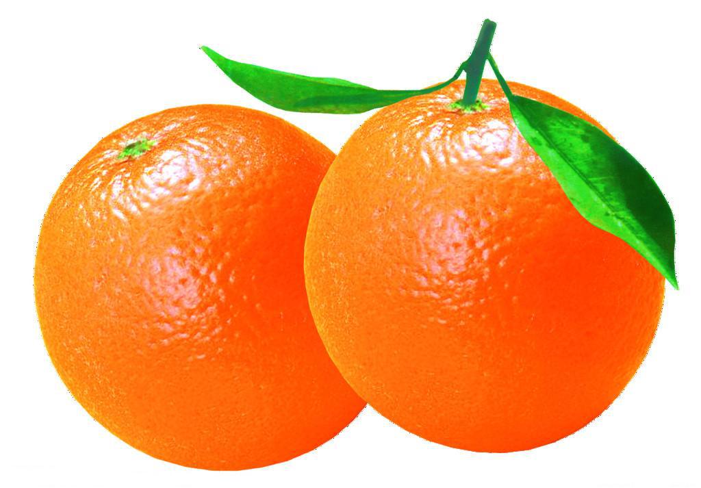 赣南脐橙哪种好吃?