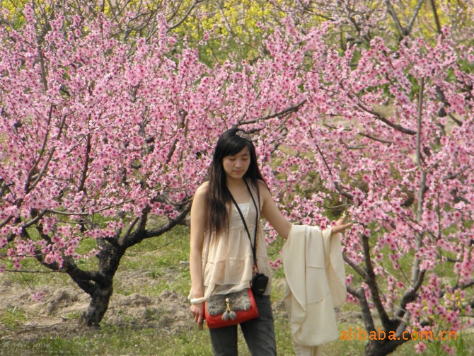 愚人节和美女们看桃花