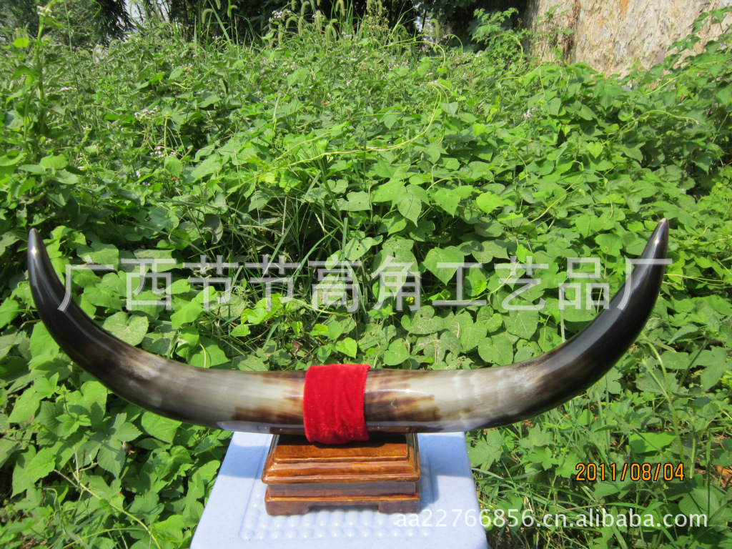 【厂家批发】牛角摆饰品,牛角有避邪,好运,吉祥,平安之美誉.
