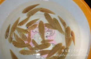 供应山东渤海湾优质高产野生鳎米鱼鱼苗.无病害、生长快。