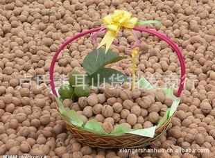 三门峡女士征婚网_荆州百姓网征婚 www.v118.com 三门峡女士征婚网_荆州百姓网征婚 v118.com