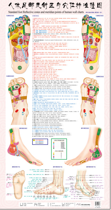 足底按摩,足底全息穴位,足底穴位,足部反射区与穴位标准挂图