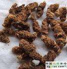 销售七月一枝花