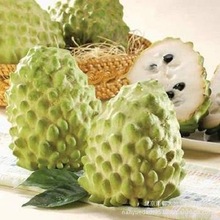 【台湾水果批发市场】台湾水果批发市场价格\/
