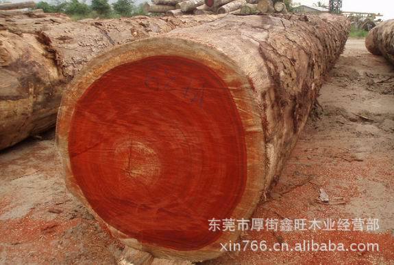 批发黄心楠木