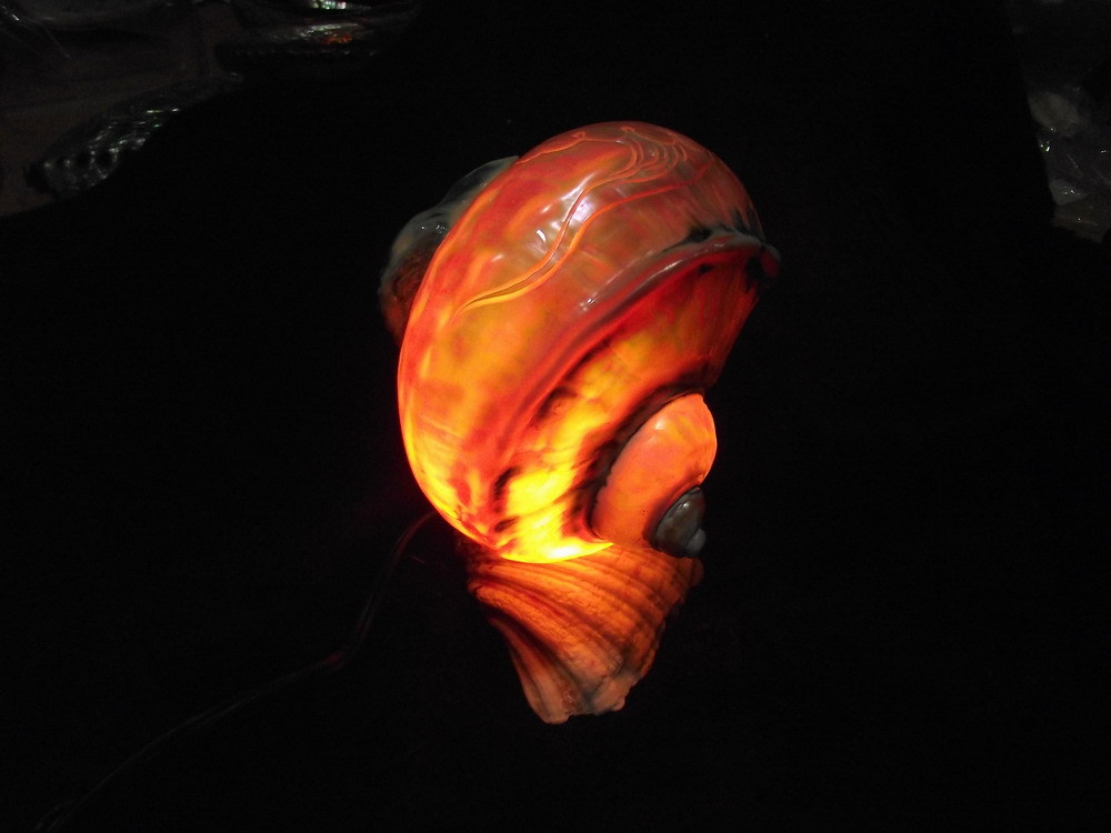 供应海螺工艺品夜光螺灯图片,供应海螺工艺品