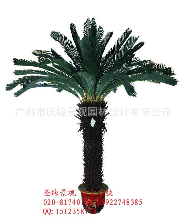 神圣/仿真巴黎铁树/仿真香龙血树/仿真铁树叶仿机械设计前6个月都很累吗图片