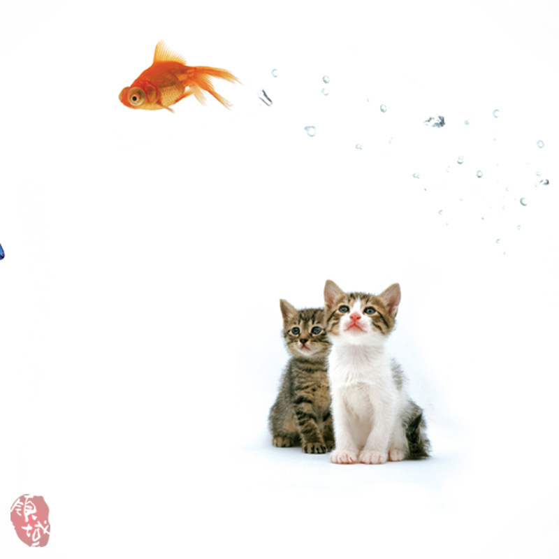 【动物无框画猫和鱼三联家居装饰画工艺画卧室