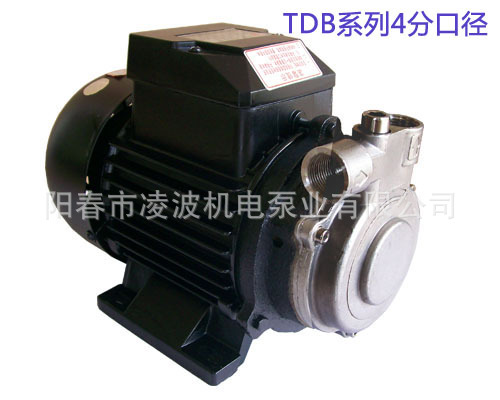 TDB系列泵4分口徑副本