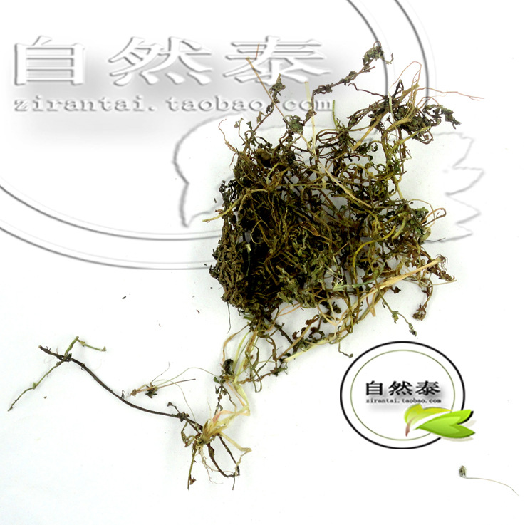 批发供应各种中药材鹅不食草 鹅不吃草野生正品湖北野生大货