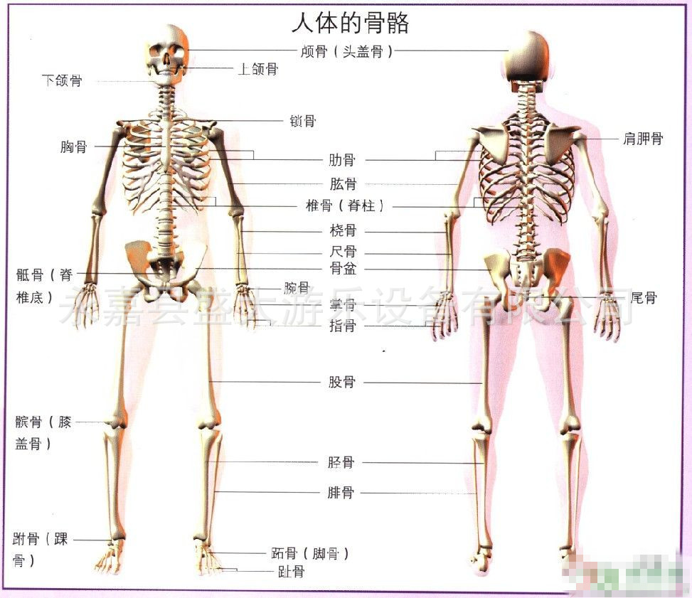 初存骨骼养护健康小屋免费理疗保健服务有什么 (初存骨骼养护怎么样)