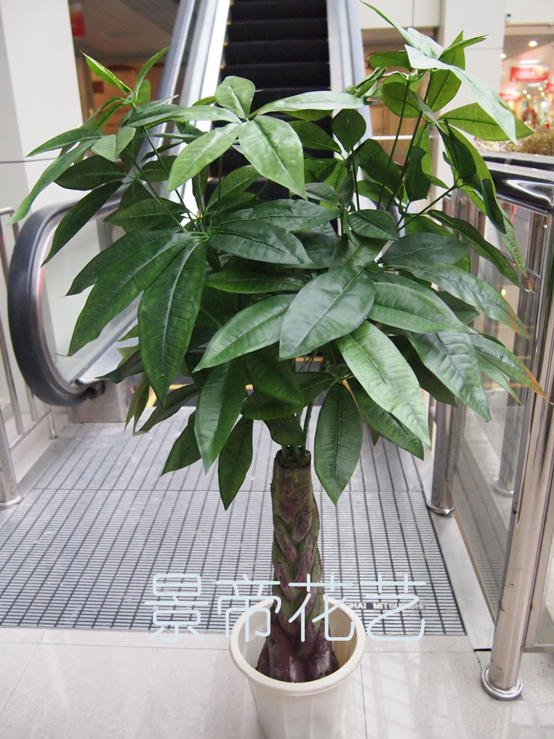 上海厂家直销帝景工艺仿真植物1米3高发财树特价销售逼真装饰