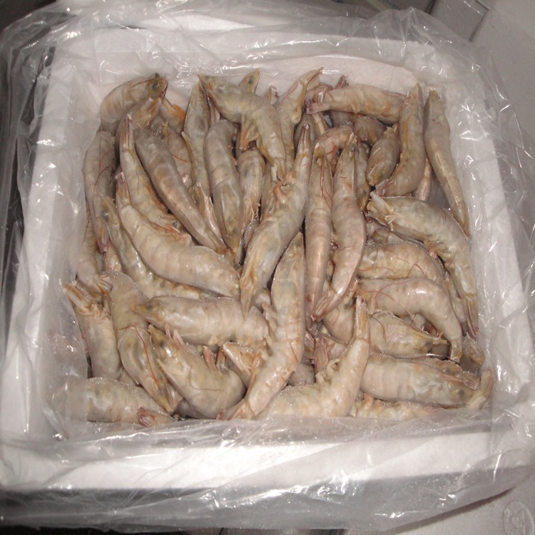 大量 供应 冷冻食品 肉类 虾品 北极甜虾图片,大