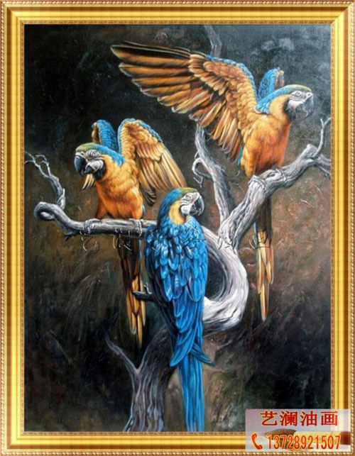供应手工油画 竖式构图鹦鹉鸟类动物油画定制 有框装饰挂画dw022