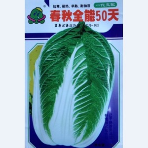 白菜大白菜种子