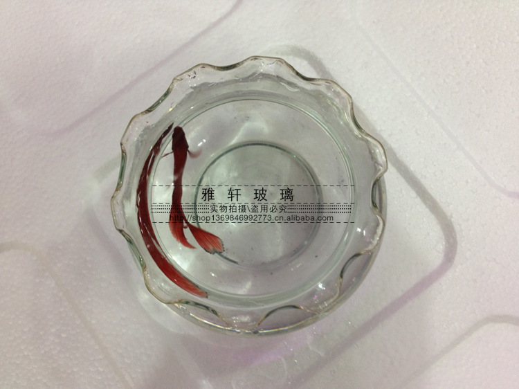 【小额批发 透明小号玻璃鱼缸 金鱼缸 花边鱼缸