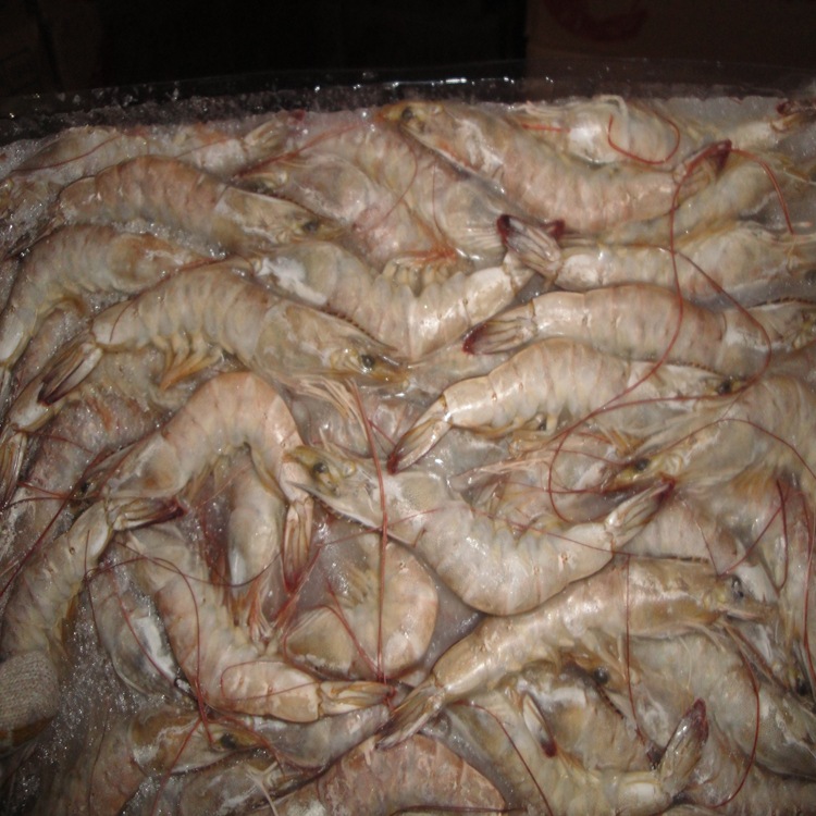 大量 供应 冷冻食品 肉类 虾品 北极甜虾图片,大