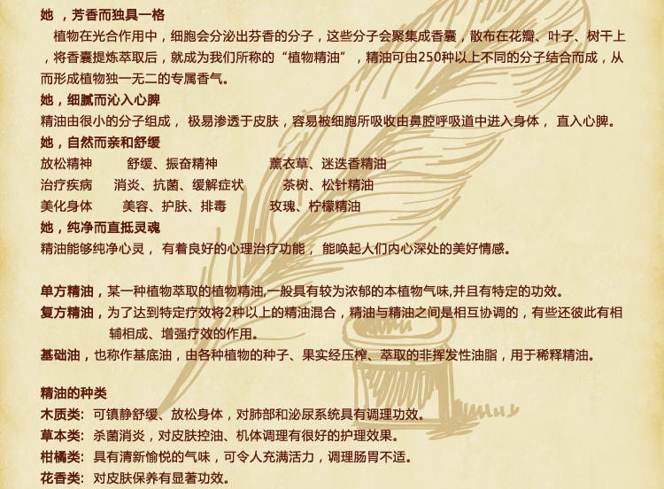 进口纯天然植物肉桂精油 单方精油