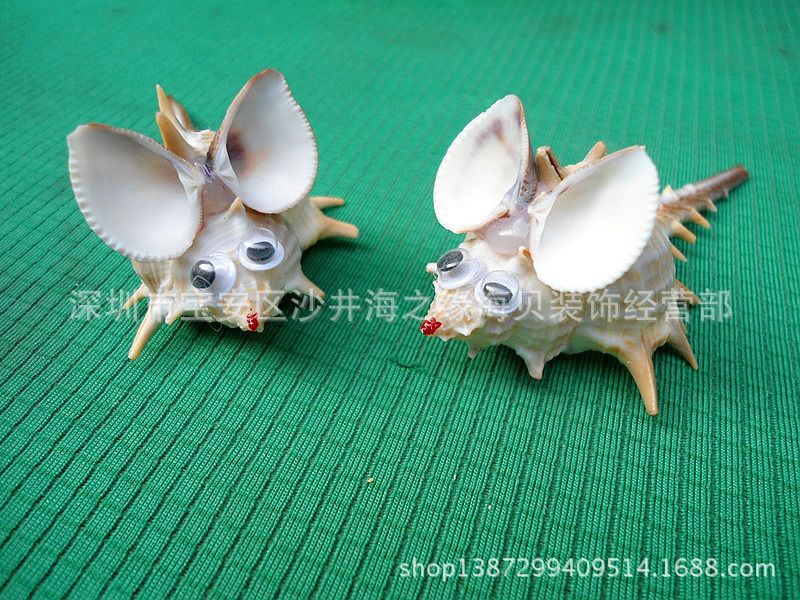 厂家直销海螺小老鼠/手工制作贝壳/贝壳 工艺品设计贝壳小工艺品