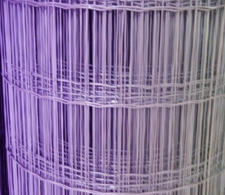 广州荷兰网 白色荷兰网 紫色荷兰网 色彩鲜艳 厂