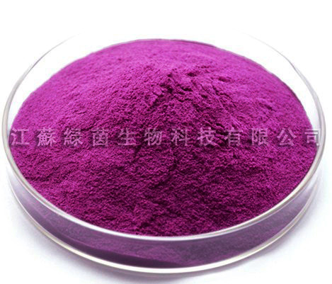 江苏绿茵批发纯天然优质紫薯粉、紫甘薯粉、量