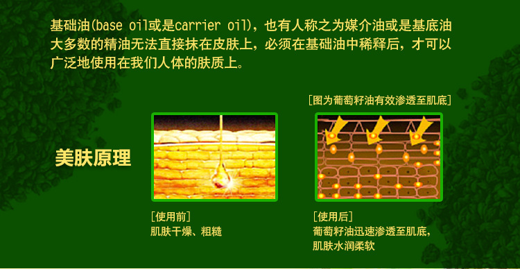 畅销产品葡萄籽油批发 进口葡萄籽油 葡萄籽精油基础油