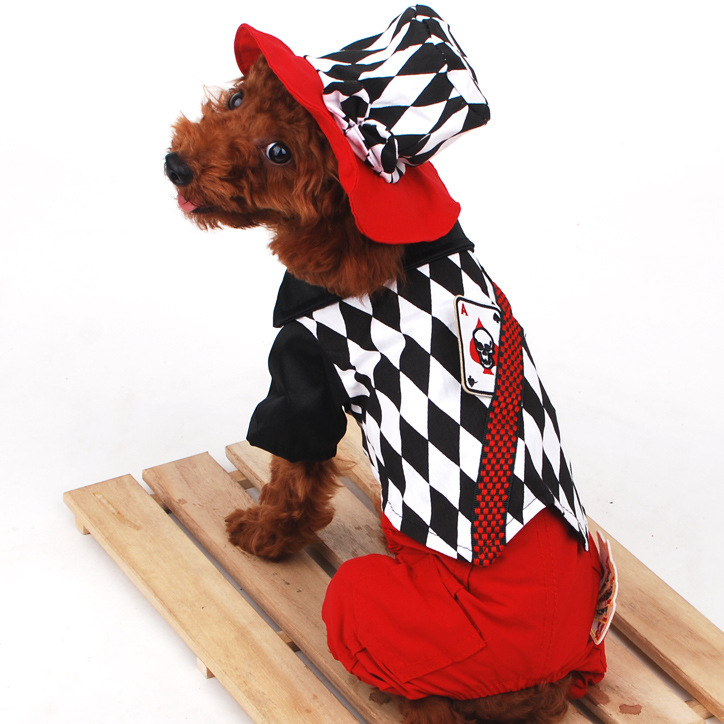 宠物万圣节礼物扑克魔术师 帽子背带 小型犬狗