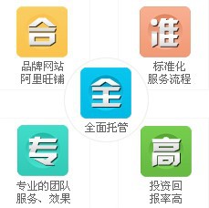 【中国高端网络整合营销服务商 5I系统 托管+培