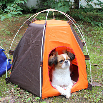 宠物小帐篷