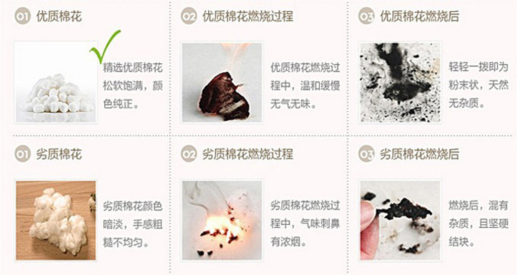 蕾丝边人口_人口普查(2)