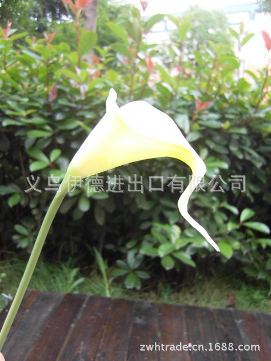 光影居同款高档仿真pu手感迷你马蹄莲 绿色新娘手捧花pu花仿真花