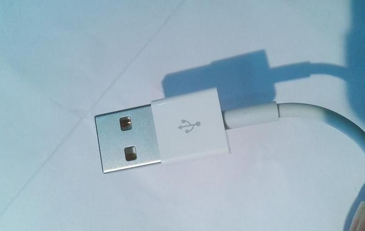 【苹果土豪金5S原装数据线 5C ipad mini充电