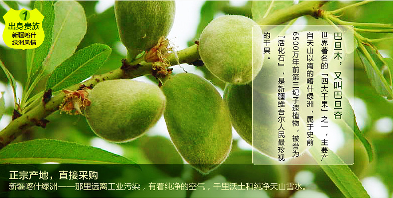 巴旦木批发全利自立巴旦木100g 新疆薄壳手剥杏厂家休闲零食