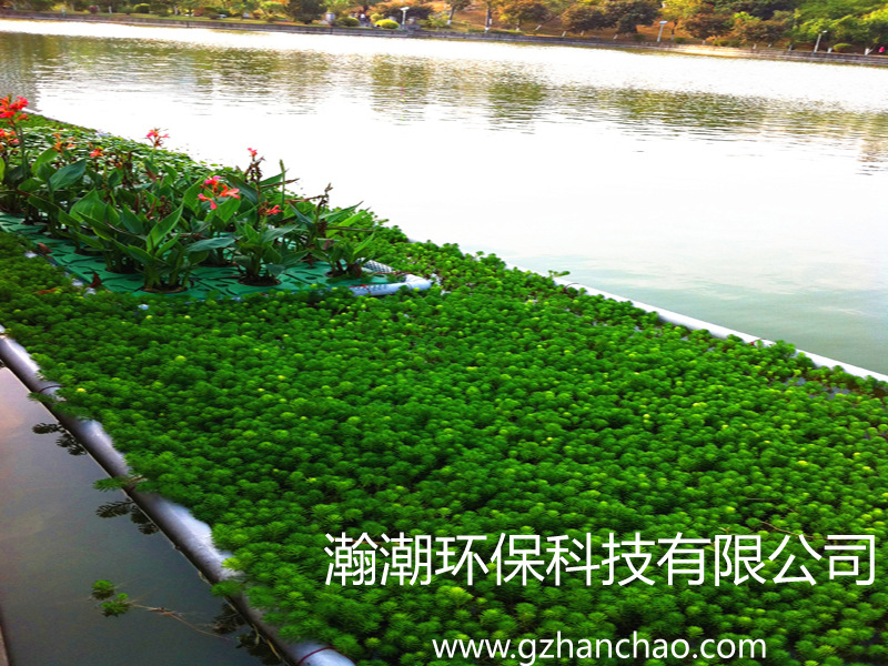 人工水草,生态水草,植物滤料,生物滤料,水上种菜