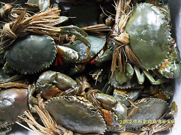 湛绿海产 野生海膏蟹图片,湛绿海产 野生海膏蟹