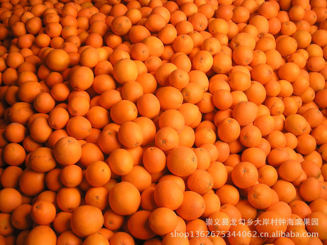 【新鲜水果 赣南脐橙】价格,厂家,图片,橙、桔、