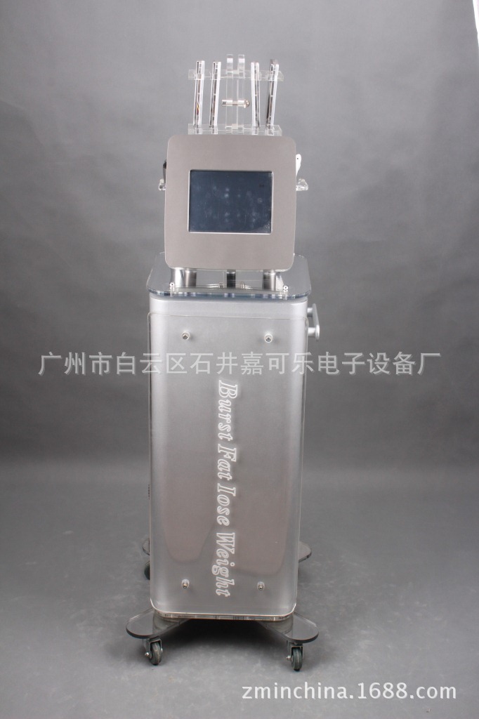 【贴片经络台式减肥仪中频多功养生仪投影减肥八音枪图片