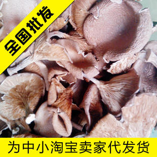 福建特产南靖食用菌产地直供干猪肚菇特级品质猪肚菇干品质上乘