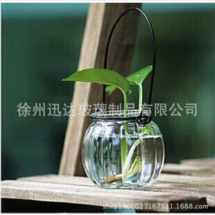 【厂家直销】玻璃吊瓶 南瓜烛台工艺玻璃瓶水培瓶小花瓶木塞瓶