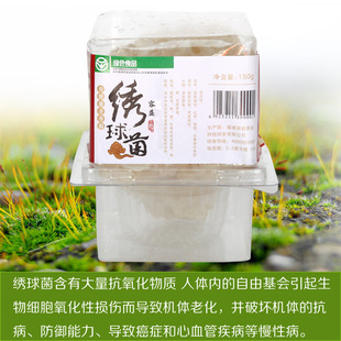 何仙菇绣球菌 万菇之王 新鲜绣球菌 梦幻神奇菇 花瓣茸