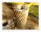 斜齿轮 大模数斜齿轮 长期供应 可加工订做 金滩铸造机械加工厂