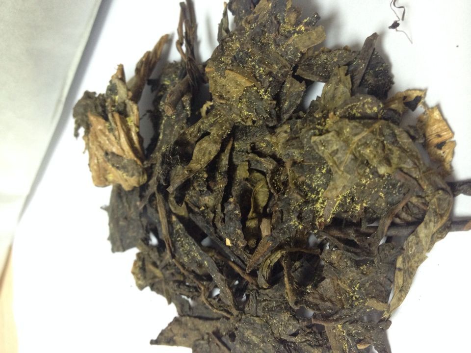 安化黑茶 天尖茯砖茶 黑树黑马茶厂 礼品 招商加盟