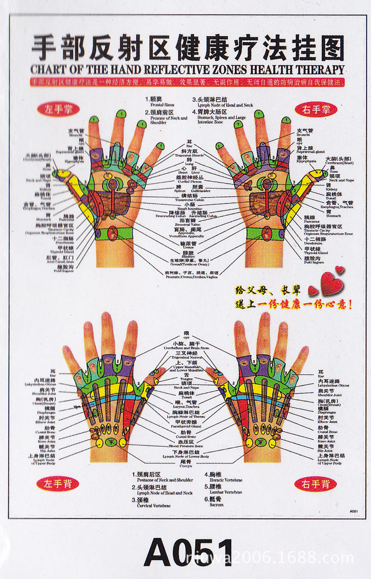 厂家直销批发人体穴位经络挂图 足部反射区健康疗法挂图a054