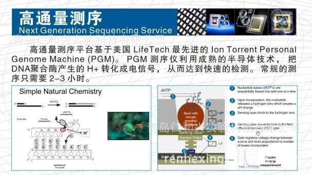 【高通量测序 中美泰和 价格在线咨询】